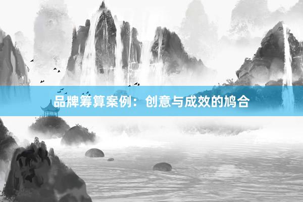 品牌筹算案例：创意与成效的鸠合