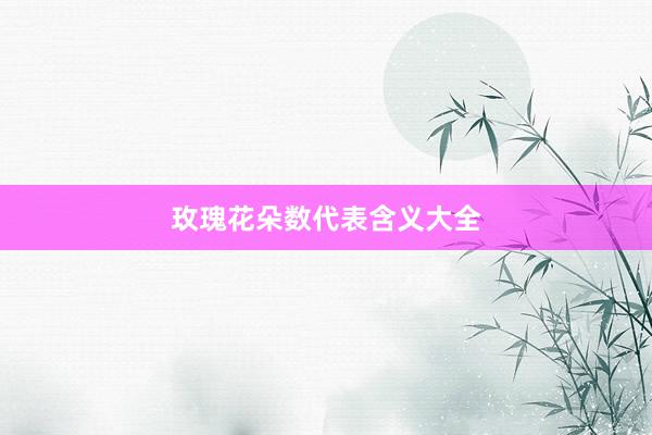 玫瑰花朵数代表含义大全
