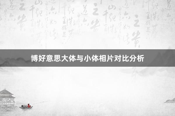 博好意思大体与小体相片对比分析
