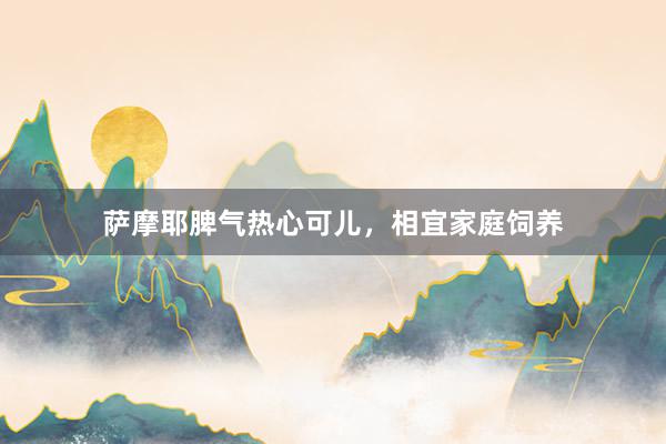 萨摩耶脾气热心可儿，相宜家庭饲养